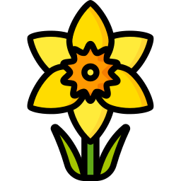 Narciso icono