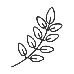 natura icona