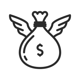 Money icon