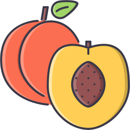 Fruit icon