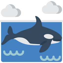 Orca Ícone