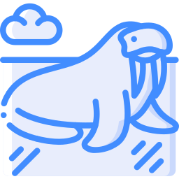 walrus icoon