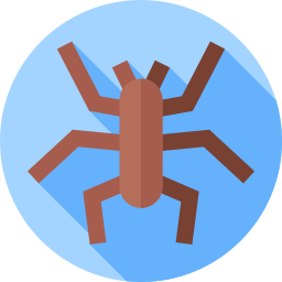 Spider icon