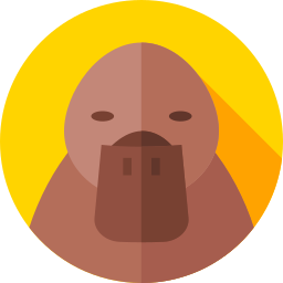 カモノハシ icon