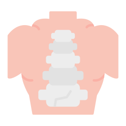 espinal icono