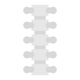dorsal Icône