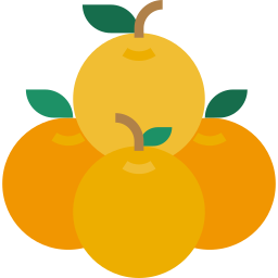 orange icon