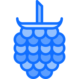 Fruit icon