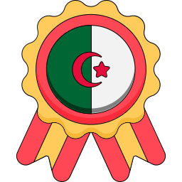 bandeira do país Ícone