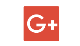 Google icon