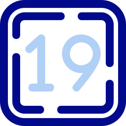 19 icon