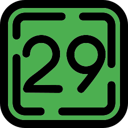 二十九 icon