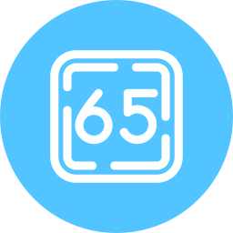 Sixty five icon