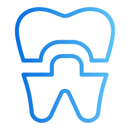 大臼歯冠 icon