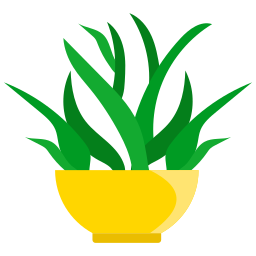 roślina domowa ikona