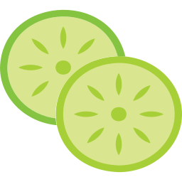 komkommer schijfje icoon