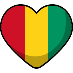 drapeau de la guinée Icône