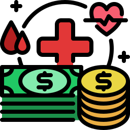 Health budget icon