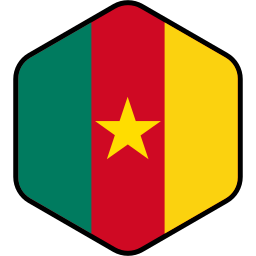 drapeau du cameroun Icône