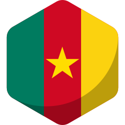 flaga kamerunu ikona
