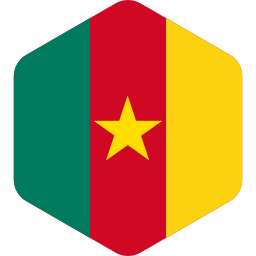 bandera de camerún icono