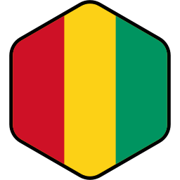 guinee vlag icoon