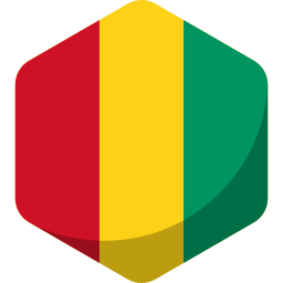 bandera de guinea icono