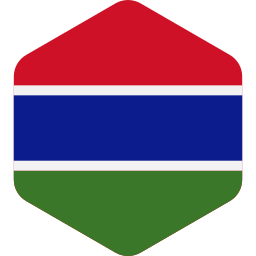 Флаг Гамбии иконка