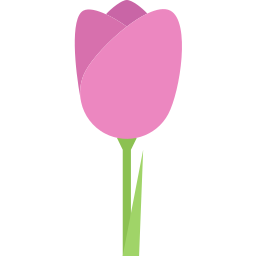 Tulipa Ícone