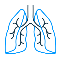 poumons Icône