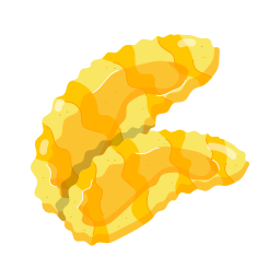 Dried apricot icon