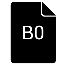 b0 icono