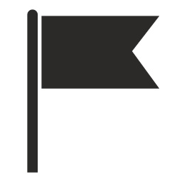 flagge icon