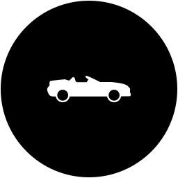 auto icon