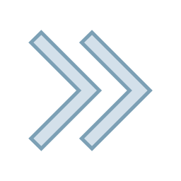 Chevron right icon