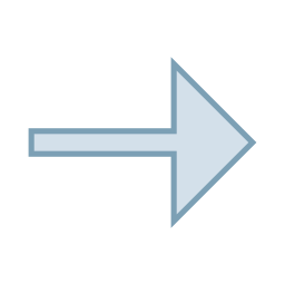 Next arrow icon