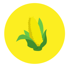 Fruit icon