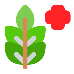 zielarski ikona