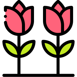 Tulipanes icono