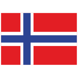 vlag icoon