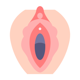 器官 icon