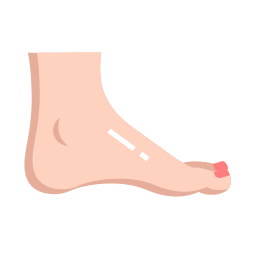 Foot icon