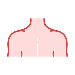 Body icon
