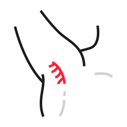 体の部分 icon