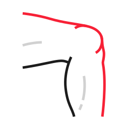 体の部分 icon