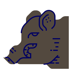Boar icon