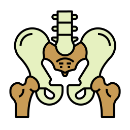 huesos pelvicos icono