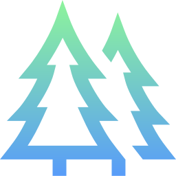 Pine icon