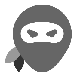 pirata informático icono