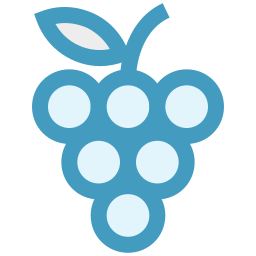 Fruit icon